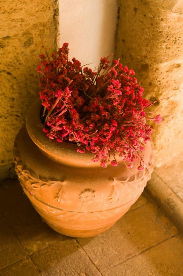 Palazzo Contino Apartment Bagnoregio Exterior photo